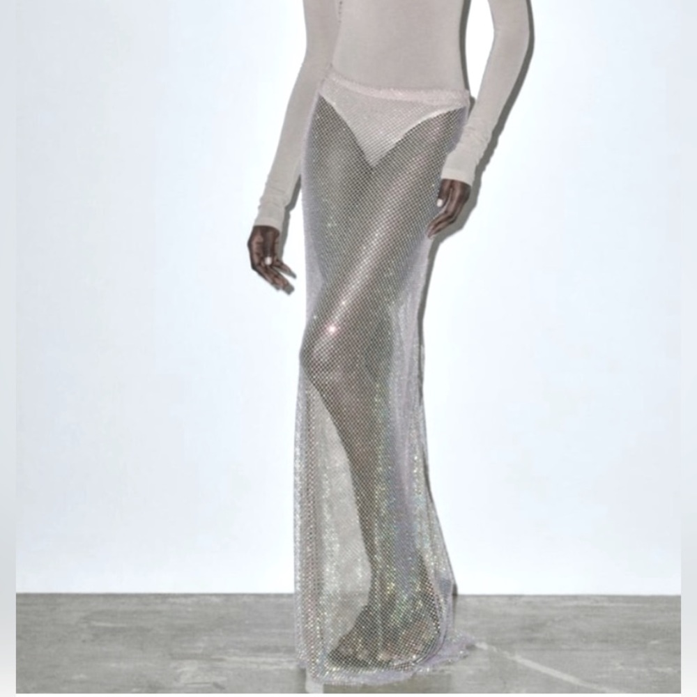 NWT Zara sheer mesh iridescent stretch long skirt or tube dress